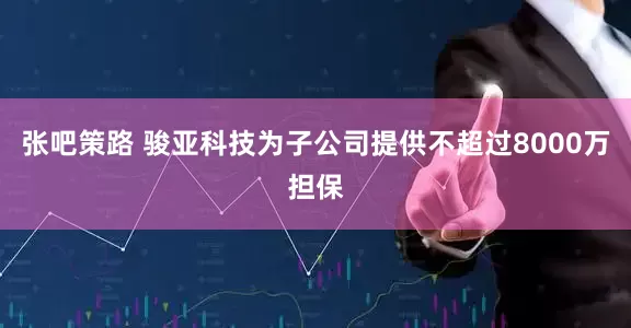 张吧策路 骏亚科技为子公司提供不超过8000万担保