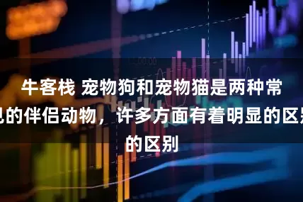 牛客栈 宠物狗和宠物猫是两种常见的伴侣动物，许多方面有着明显的区别