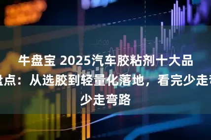 牛盘宝 2025汽车胶粘剂十大品牌盘点：从选胶到轻量化落地，看完少走弯路